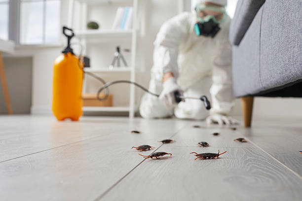 Commercial Kitchen Cockroach Control in Key Biscayne